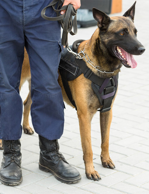 K-9 Security Services