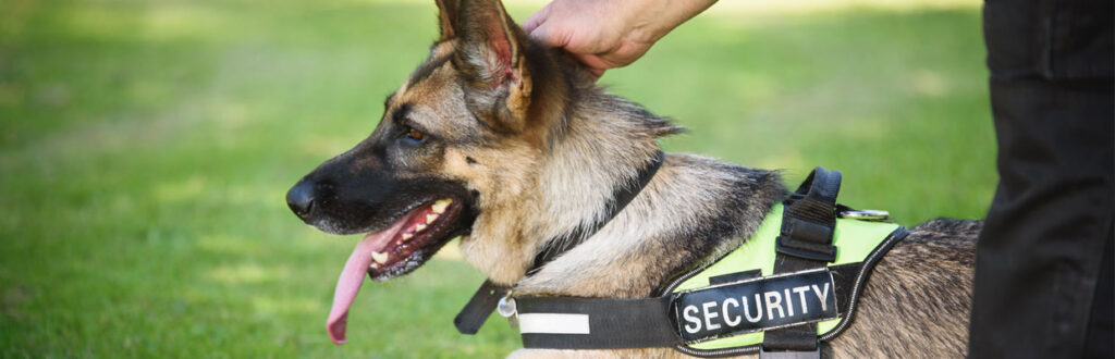 Security K-9 Services